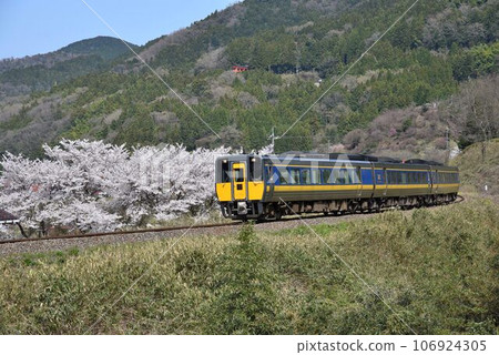 JR Yamaguchi Line, Super Oki, going to Tsuwano where cherry blossoms are blooming JR Yamaguchi Line, Super Oki, going to Tsuwano where cherry blossoms are blooming 106924305