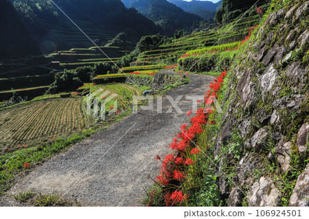 Terada and Higanohana 106924501