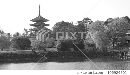 興福寺 興福寺 106924801