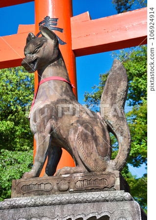 京都伏見稻荷神社的守護狐 106924914