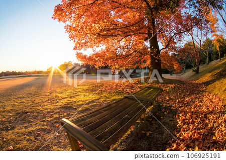 Late autumn morning "Mie Prefectural Forest/Gathering Plaza" Late autumn morning "Mie Prefectural Forest/Gathering Plaza" 106925191