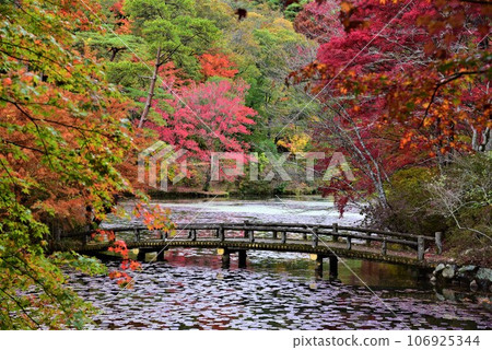 Autumn scenery of Kobe Forest Botanical Garden Autumn scenery of Kobe Forest Botanical Garden 106925344