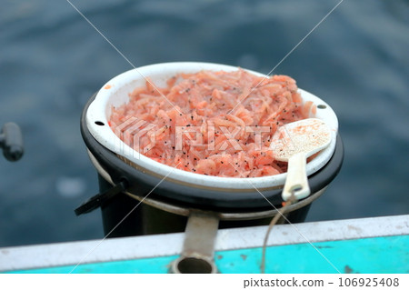 sea fishing image 106925408