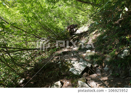 Image of the mountain trail: Kurobe Gorge horizontal walkway in early autumn in October when the greenery still remains Image of the mountain trail: Kurobe Gorge horizontal walkway in early autumn in October when the greenery still remains 106925952
