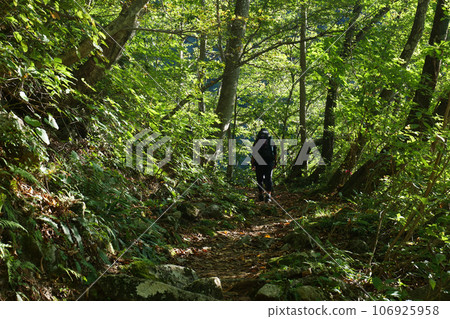 A hiker walking on a mountain path in early autumn.Scenery of the Kurobe Gorge horizontal walkway in early autumn in October. A hiker walking on a mountain path in early autumn.Scenery of the Kurobe Gorge horizontal walkway in early autumn in October. 106925958