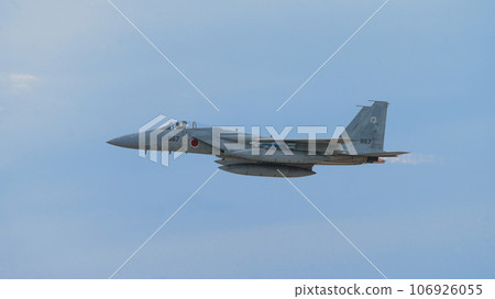 Japan Air Self-Defense Force 303rd Squadron F-15 Eagle side view 106926055