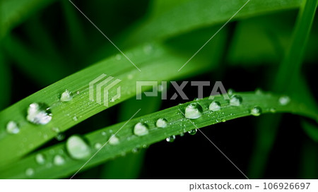 It’s mysterious when you take a close-up photo of a drop 106926697