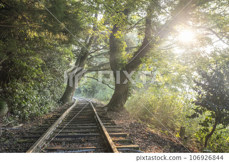 Kurayoshi Line Sunbeams Walk through the Trees 106926844