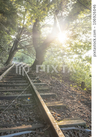 倉吉線陽光穿過樹林 倉吉線陽光穿過樹林 106926846