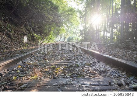 Kurayoshi Line Sunbeams Walk through the Trees 106926848