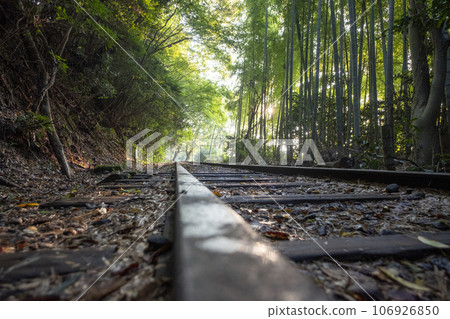 倉吉線陽光穿過樹林 倉吉線陽光穿過樹林 106926850