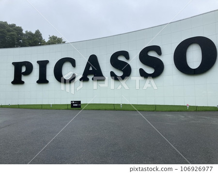 picasso exhibition 106926977