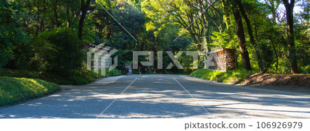 明治神宮,神社建築的參道 明治神宮,神社建築的參道 106926979