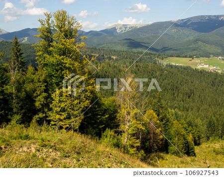The forest against the background of mountain peaks and sky 106927543