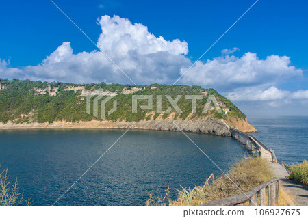 the island of Vivara, natural reserve in Procida the island of Vivara, natural reserve in Procida 106927675