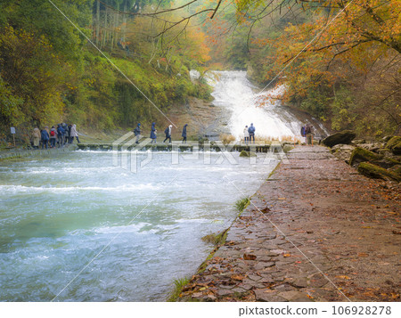 養老谷和蒲又瀑布與秋葉 / 日本蒲又瀑布 106928278