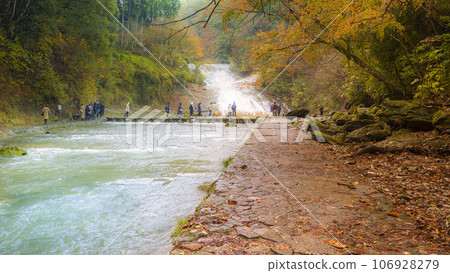 Yoro Valley and Awamata Waterfalls with autumn leaves / Awamata Waterfalls, Japan Yoro Valley and Awamata Waterfalls with autumn leaves / Awamata Waterfalls, Japan 106928279