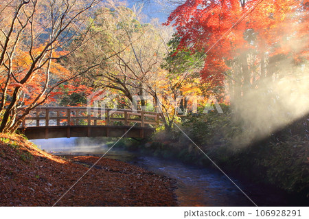 Around Lake Kinrinko in autumn (Yufuin Town, Oita Prefecture) 106928291