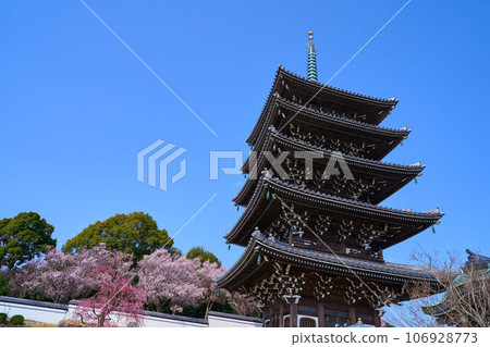 Five-storied pagoda and cherry blossoms at Korinji Temple in Asao Ward, Kawasaki City, Kanagawa Prefecture in spring Five-storied pagoda and cherry blossoms at Korinji Temple in Asao Ward, Kawasaki City, Kanagawa Prefecture in spring 106928773