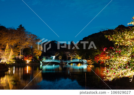 Illuminated autumn leaves at Yakushiike Park 106929027