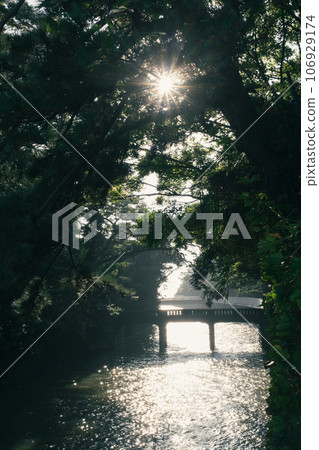 Hayama, a bridge illuminated by sunlight filtering through the trees 106929174