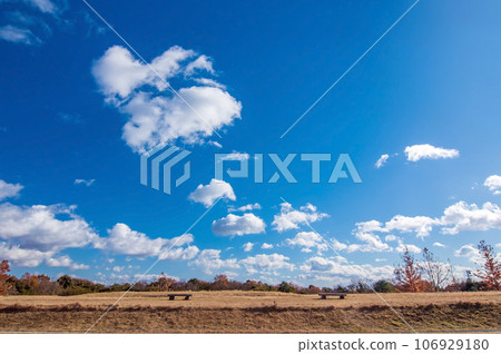 清爽的秋日天空【背景素材】 清爽的秋日天空【背景素材】 106929180