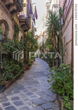 street with flowers street with flowers 106929392