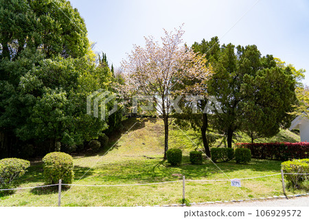 兵庫縣姬路市姬路市動物園 106929572