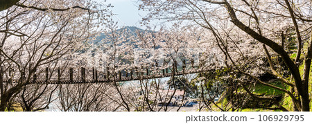 近海中央公園全景內的櫻花[長崎市] 106929795