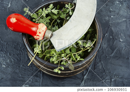 Fresh marjoram leaves on the table. Fresh marjoram leaves on the table. 106930931