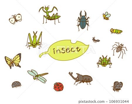 昆蟲插畫（彩色） 106931044