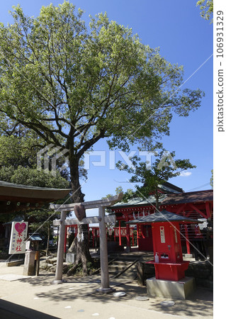Kyushu Daini Tenmangu Shrine Koisuru Nishikigoi Forest Mizuta Tenmangu Shrine Koiki Shrine 106931329