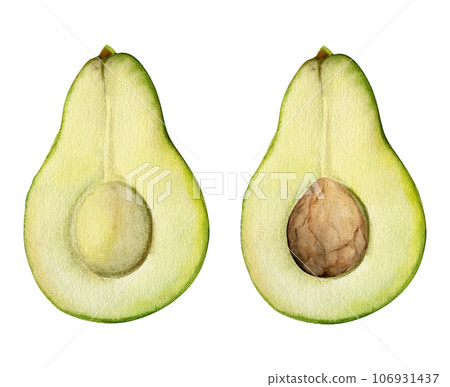 Hand drawn watercolor avocado green vegetable for diet and healthy lifestyle, vegan cooking. Illustration single object isolated on white background. Design for poster, print, website, card, menu Hand drawn watercolor avocado green vegetable for diet and healthy lifestyle, vegan cooking. Illustration single object isolated on white background. Design for poster, print, website, card, menu 106931437