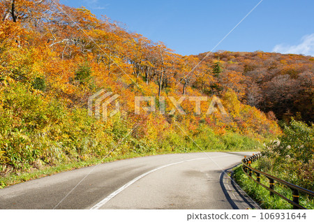 Nishiazuma Sky Valley in autumn leaves Nishiazuma Sky Valley in autumn leaves 106931644