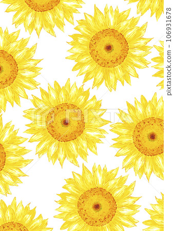 Hand drawn watercolor yellow sunflower boarder frame isolated on white background. Can be used for invitation, postcard, poster, book decoration and other printed products. 106931678