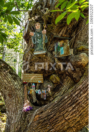 Nogueira, Spain - Jul 04, 2022 106932207