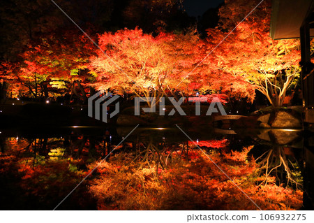 大瀧郎公園的秋葉照亮了 106932275