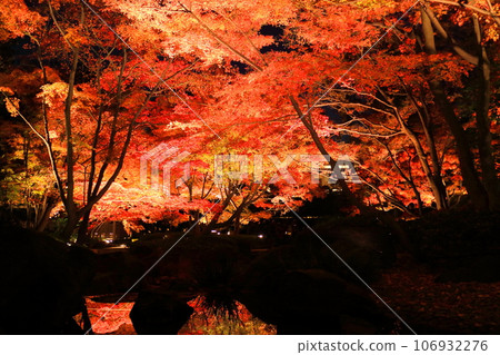 大瀧郎公園的秋葉照亮了 106932276