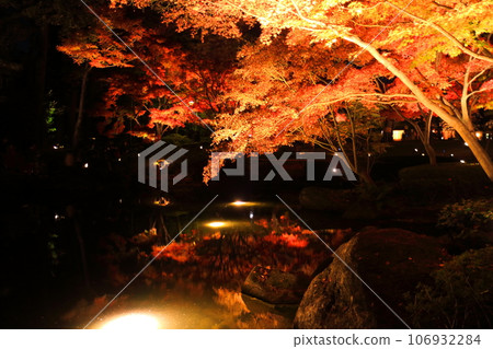 大瀧郎公園的秋葉照亮了 106932284