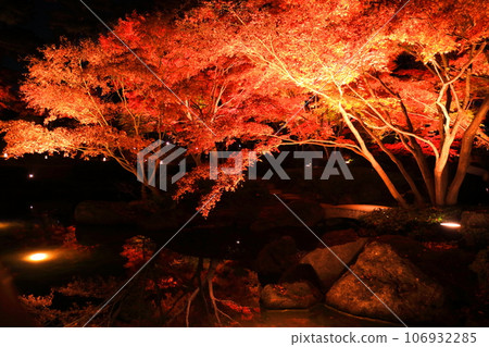 大瀧郎公園的秋葉照亮了 106932285