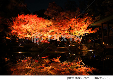 Otakuro Park's autumn leaves light up 106932289