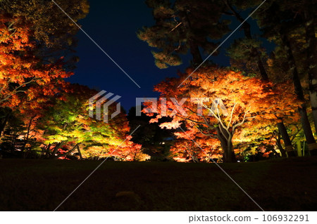 Otakuro Park's autumn leaves light up 106932291