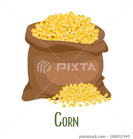 Corn plant, sweet corn, corn kernels in a canvas bag. Agriculture, food icon, vector Corn plant, sweet corn, corn kernels in a canvas bag. Agriculture, food icon, vector 106932545