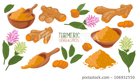 Turmeric icons set. Dry turmeric powder, turmeric roots, slices and flowers. Herbs and spices. Curcumin. Botanical illustration, vector 106932550