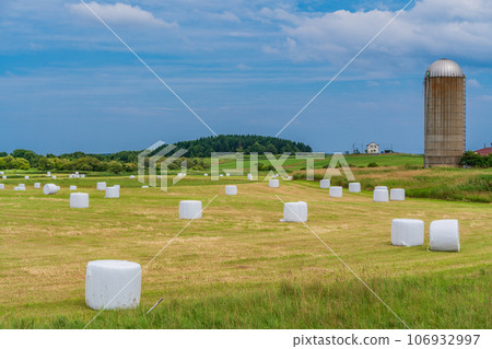 Scenery typical of Hokkaido: Grassland dotted with roll bale wrap silos 106932997