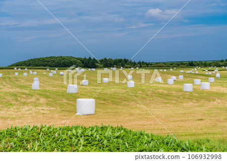 北海道的典型風景:散佈著卷草筒倉的草原 北海道的典型風景:散佈著卷草筒倉的草原 106932998