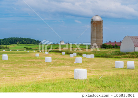 Scenery typical of Hokkaido: Grassland dotted with roll bale wrap silos Scenery typical of Hokkaido: Grassland dotted with roll bale wrap silos 106933001