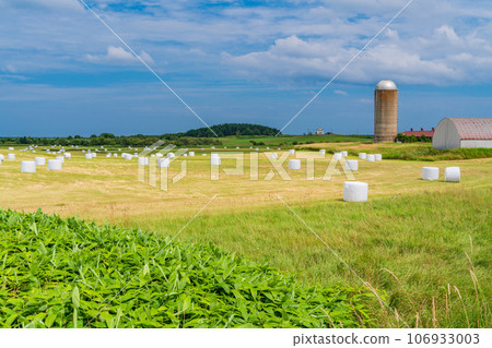 Scenery typical of Hokkaido: Grassland dotted with roll bale wrap silos 106933003