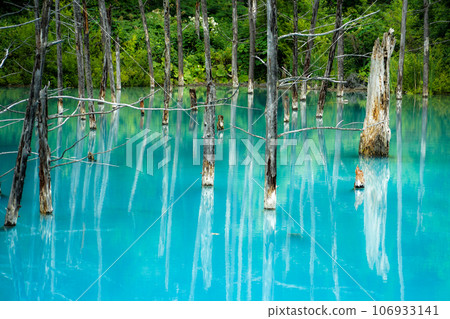 Shirogane Blue Pond (Biei Town, Hokkaido) 106933141