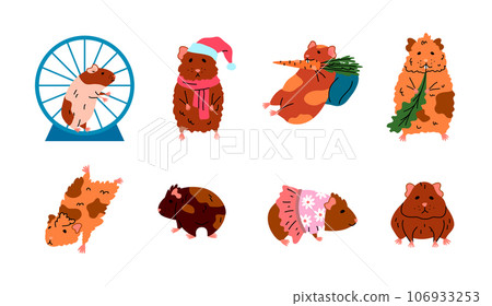 Cartoon Color Characters Cute Funny Guinea Pigs Set Concept Flat Design Style. Vector illustration of Rodent Eating and Posing Cartoon Color Characters Cute Funny Guinea Pigs Set Concept Flat Design Style. Vector illustration of Rodent Eating and Posing 106933253
